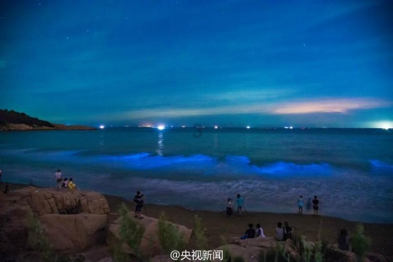 梅花糕里的纪念