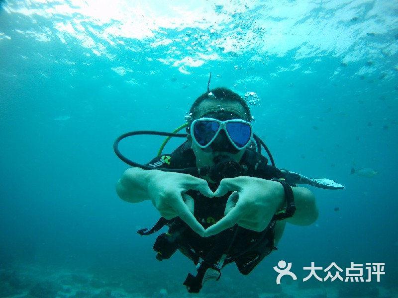 加入兔子英文怎么说知识星球，解锁无限知识宝藏