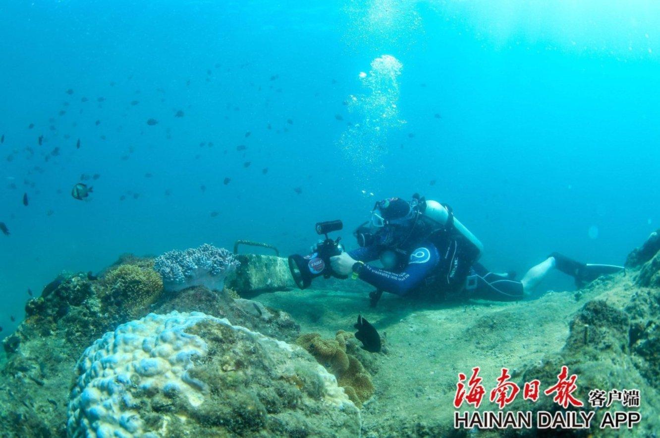 美人鱼游玩
